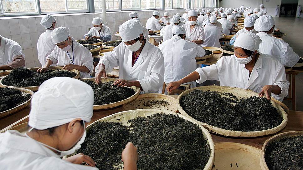 Как развивается чайная отрасль в России