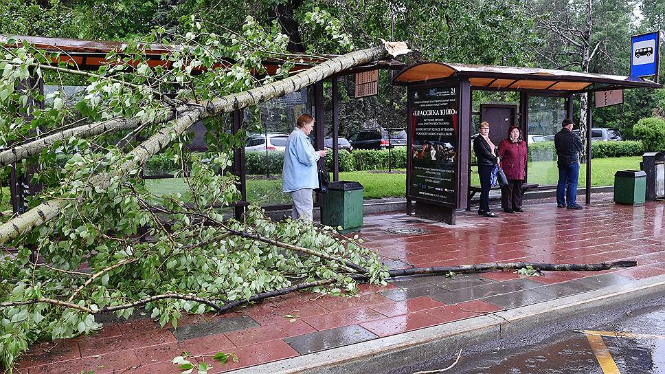 Из-за урагана в Москве погибли более десяти человек