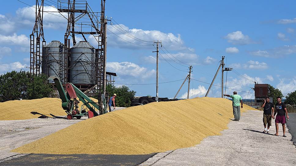 Власти разрешат экспорт зерна из интервенционного фонда