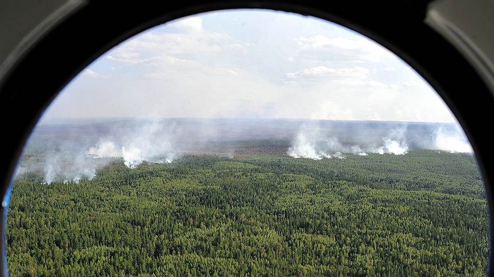 Какой был масштаб лесных пожаров, охвативших Россию в этом году