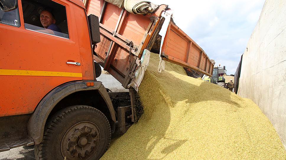 Цены на зерно на внутреннем рынке просели под давлением обильного урожая
