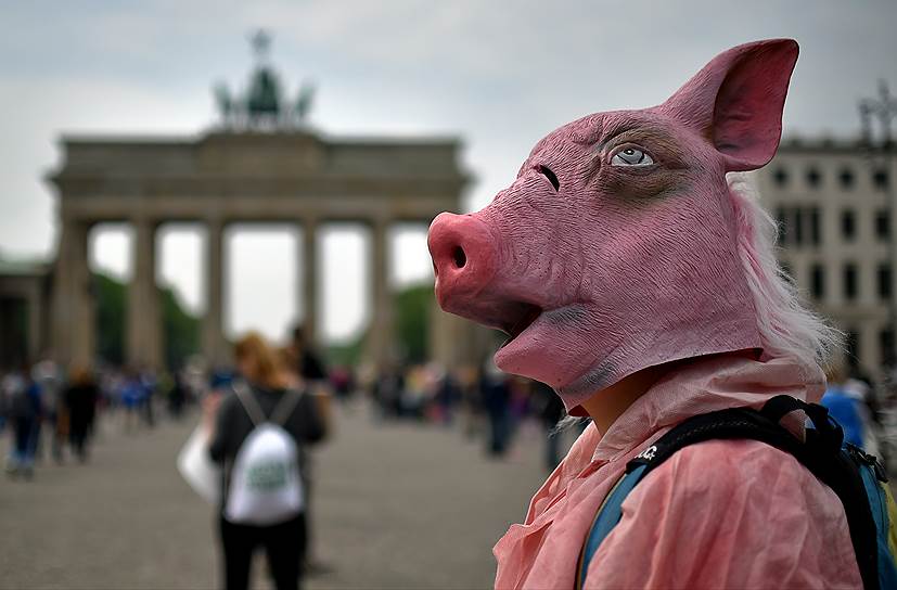 Евросоюз хочет добиться от России компенсации в €1,4 млрд за введенные ею в 2014 году ограничения на поставки свинины