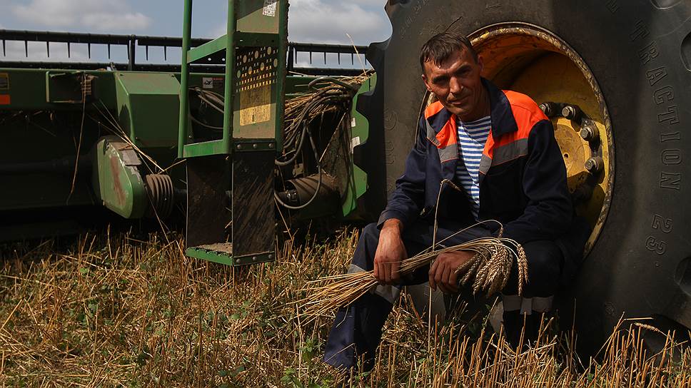 Как Россия готовилась к новому рекорду по экспорту пшеницы