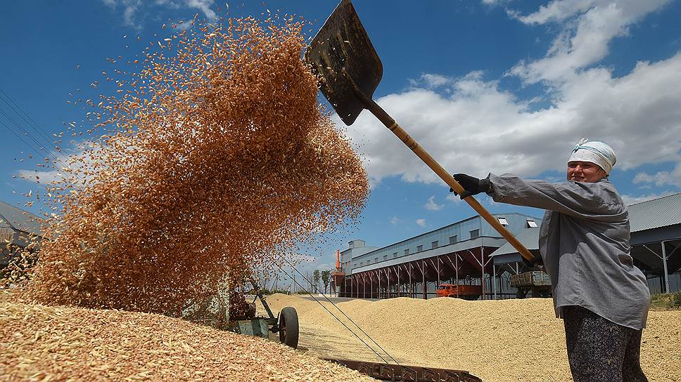 Прибалтику отсекают от экспорта российского зерна