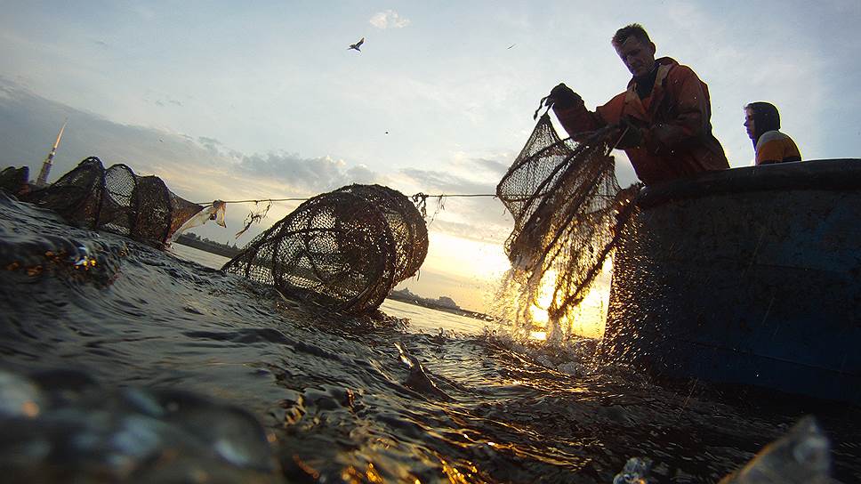 Во сколько обходится рыболовам избыточное регулирование отрасли