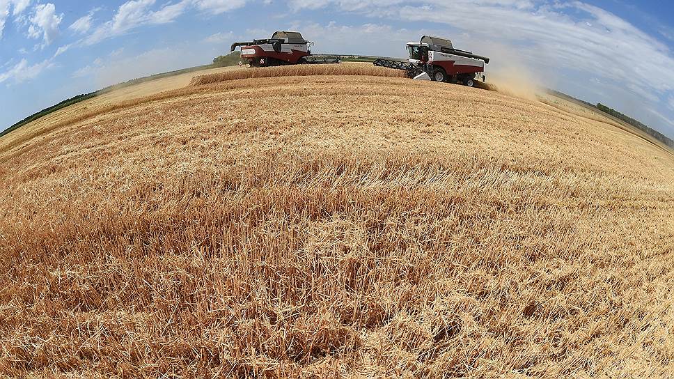 Экспортеров зерна просят о замедлении поставок
