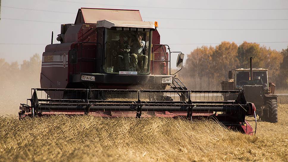 Цены на пшеницу обновили многолетние максимумы
