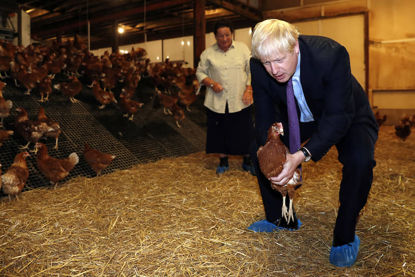 Валлийские фермеры призвали Бориса Джонсона (на фото) прекратить играть в «русскую рулетку» с сельским хозяйством: повышение тарифов на ввоз мяса в ЕС в случае жесткого «Брексита» станет губительным для экономики Уэльса