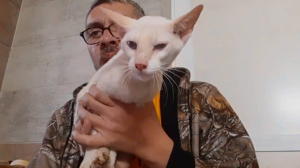 Максим Чумаченко и выживший кот