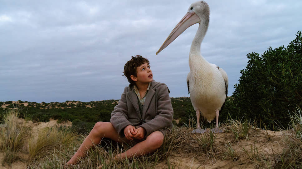 Дружба мальчика (Финн Литтл) и пеликана разворачивается на фоне живописных австралийских пейзажей