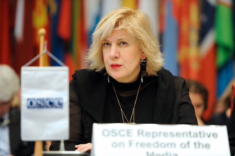 Комиссар Совета Европы по правам человека Дуня Миятович