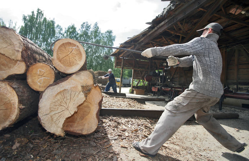 Планируемый полный запрет экспорта кругляка с 2022 года поставит российских лесозаготовителей в сложное положение