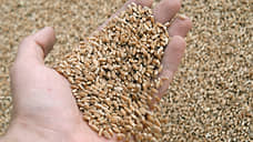 Пшеница гнется под пошлиной