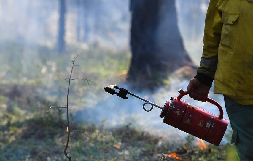 Сотрудник лесной охраны Якутии во время тушения пожара в Горном районе
