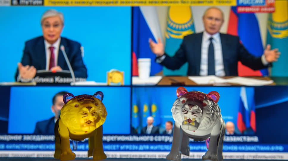 Владимир Путин и Касым-Жомарт Токаев неравнодушны к разным тиграм