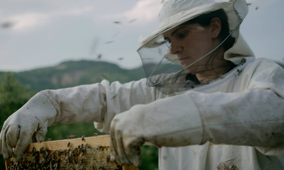 Навыки пчеловода становятся для Фахри (Иллка Гаши) метафорой осторожного обращения с человеческим социумом
