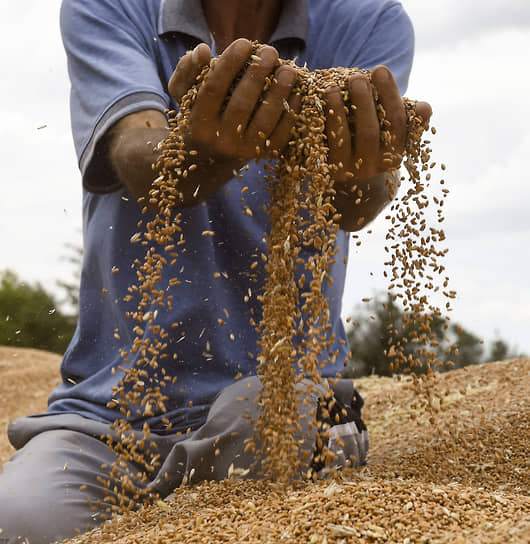 Участники зерновой сделки сходятся в том, что она «критически важна для всего мира», но у некоторых из них есть вопросы к ходу реализации договоренностей