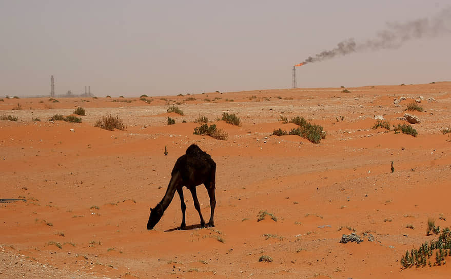 Решение России о сокращении добычи нефти до конца года неожиданно единодушно поддержали основные арабские производители