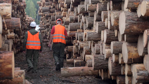 Лес не выручает // Промышленники прогнозируют падение выручки и снижают инвестиции