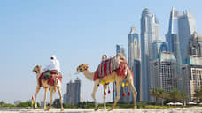 IT-бизнес представил себя в ОАЭ