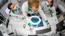 Электронике затягивают льготы