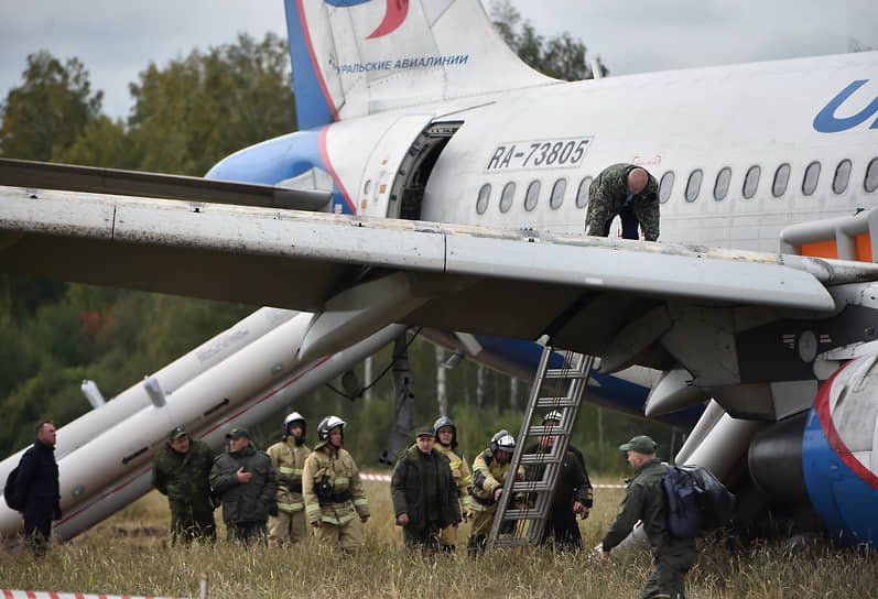 При посадке на пшеничном поле люди не пострадали, а самолет получил незначительные повреждения