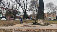 Дуб не скоро сносится