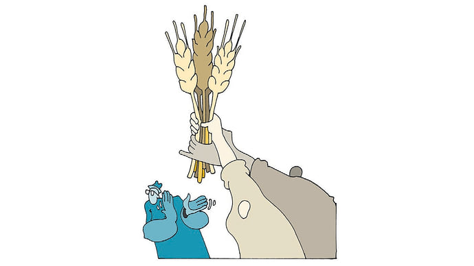 Зерно перегружают по компаниям