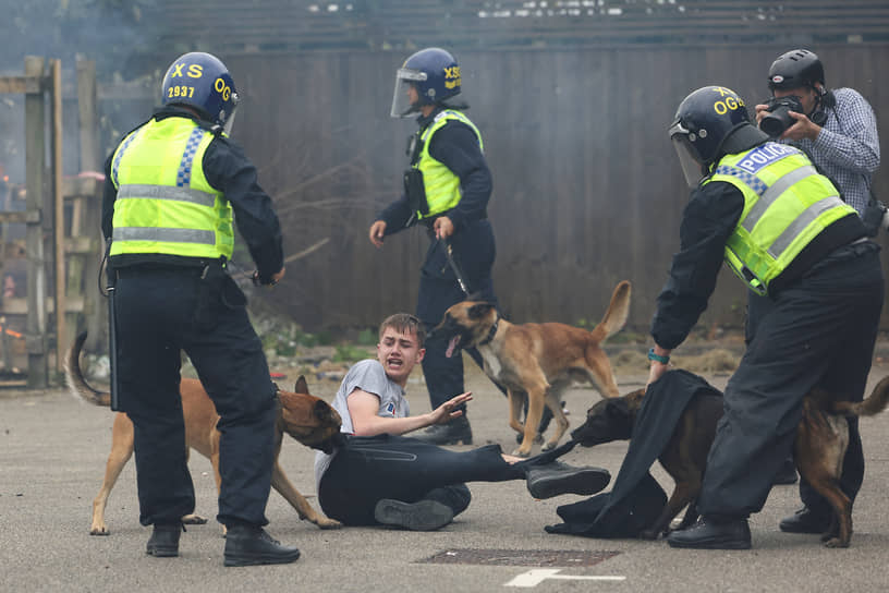 Протестующий в окружении полицейских и собак 