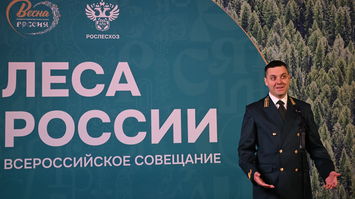 Деньги ищут в лесу и в кадастре