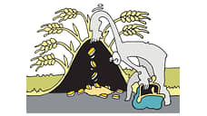 Зерно приземлится за Уралом