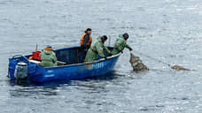 Низкий уровень аквакультуры