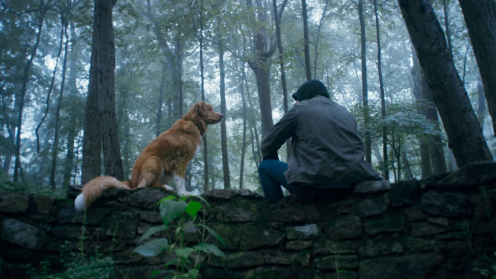 Главная точка притяжения в фильме — пес Инди, на морде которого отображается целый спектр эмоций