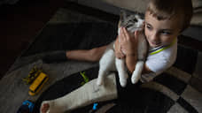 Так хочется в школу