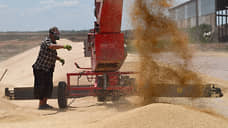 Зерно просеют через цифровое сито