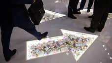 Институциональная подстраховка