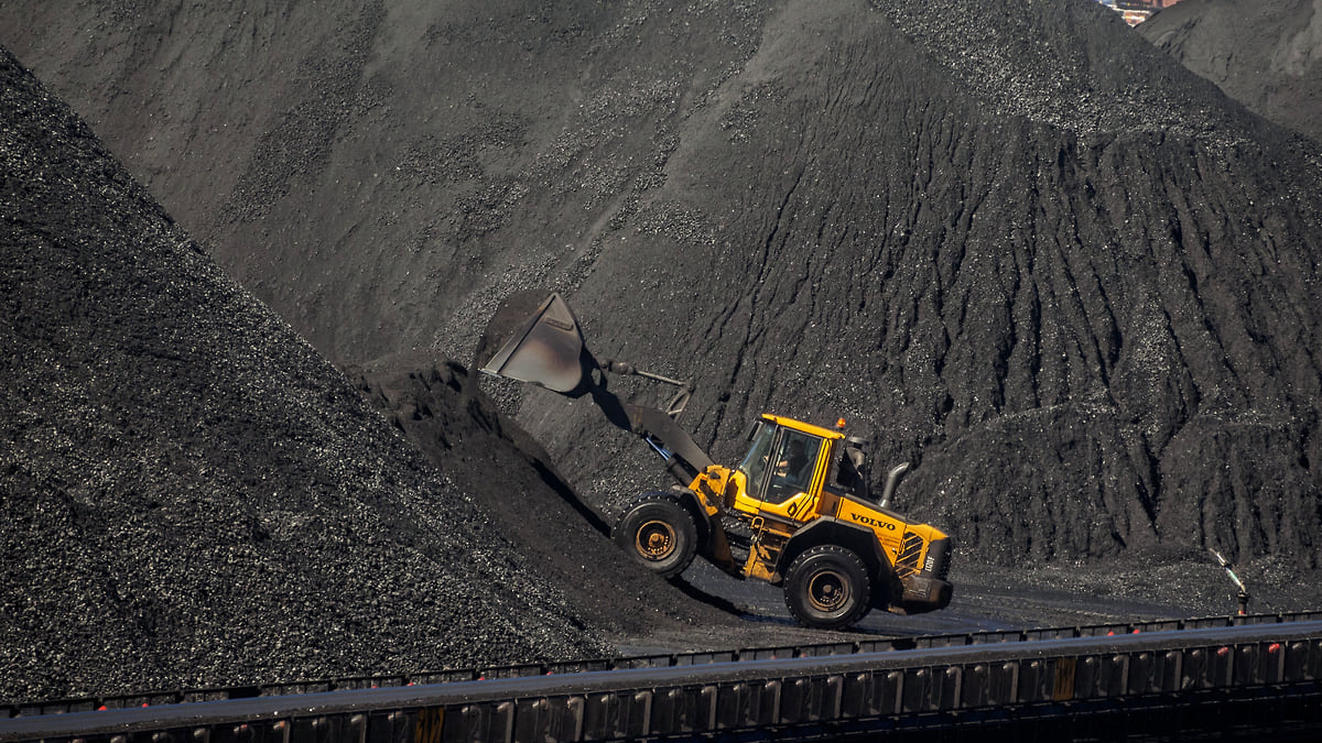 Импортеры сырья меряются премиями