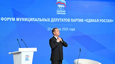 Единороссов призвали на землю