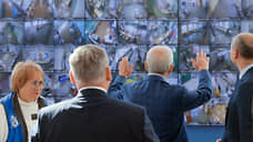 На выборах наведут явочный порядок