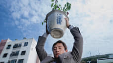 Топорный метод