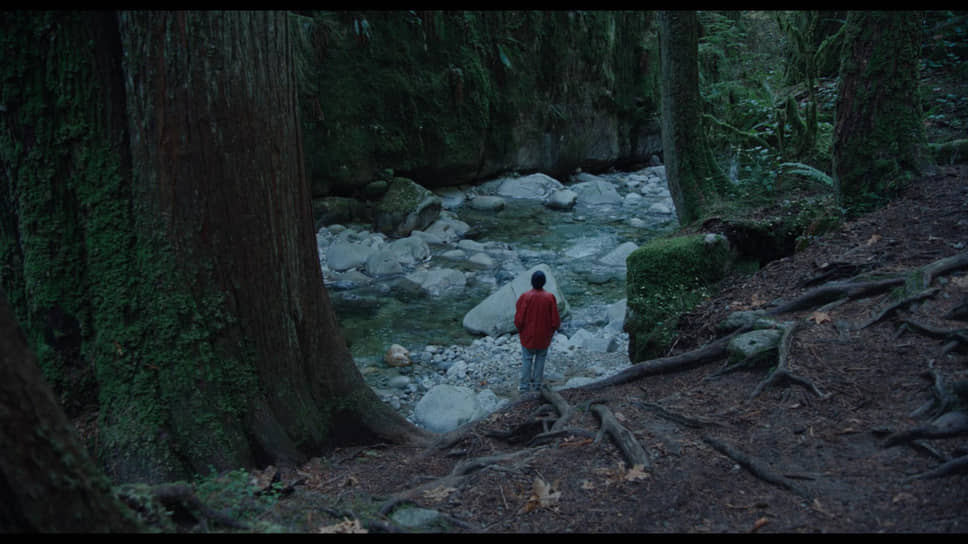 Уикенд в лесу оборачивается для Лиз (Татьяна Маслани) приключениями пугающими, но бессмысленными