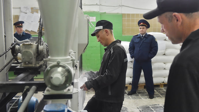 Труд освободит