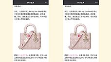 Dior выпустил сумку для пользователей WeChat