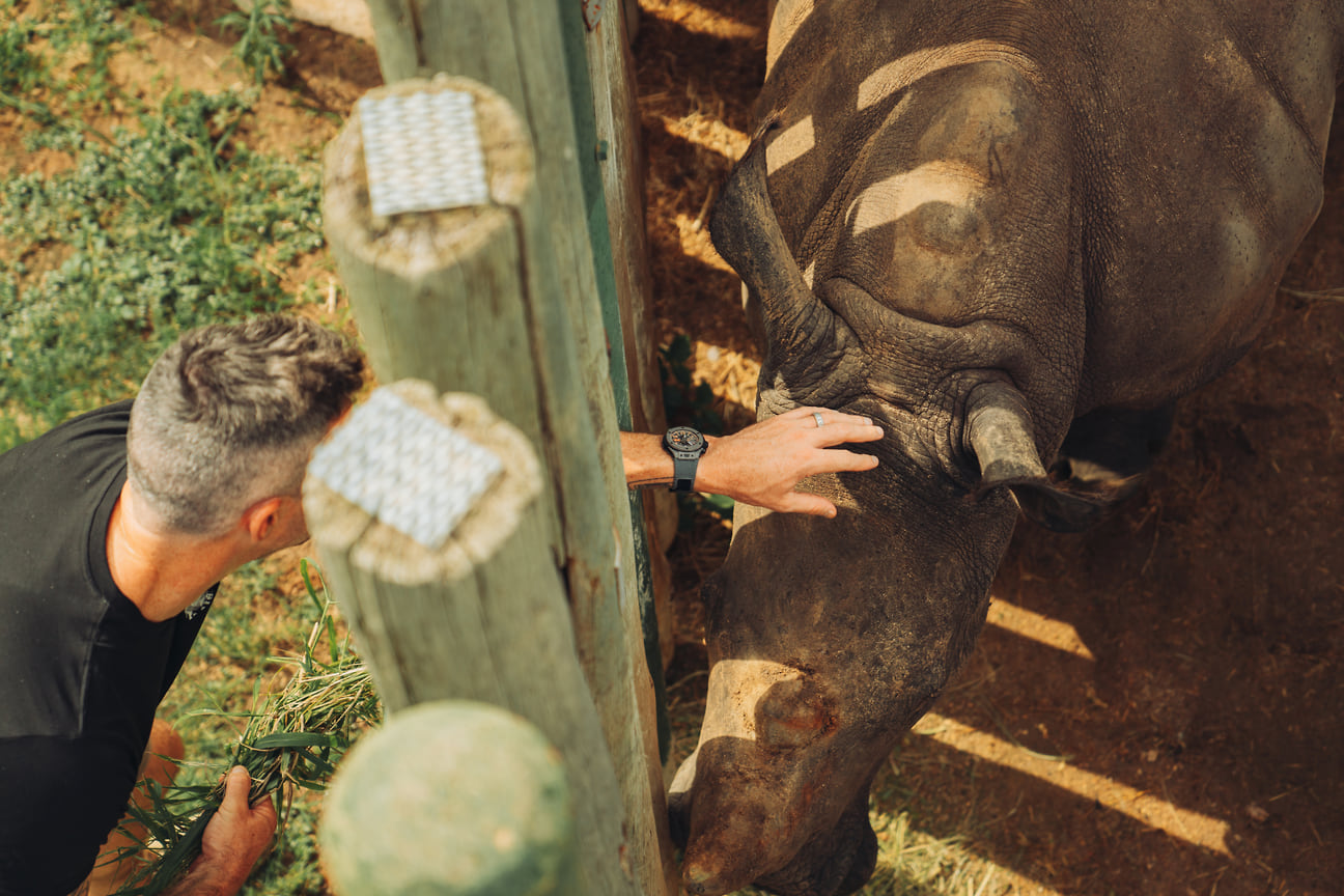 Спасенный осиротевший белый носорог в Rhino Bomas (ЮАР) с Кевином Питерсеном