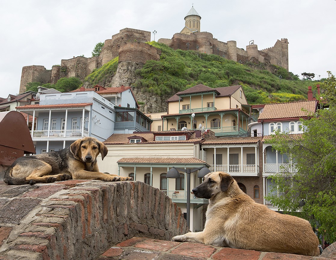 Крепость Нарикала и отреставрированная часть Старого Тбилиси