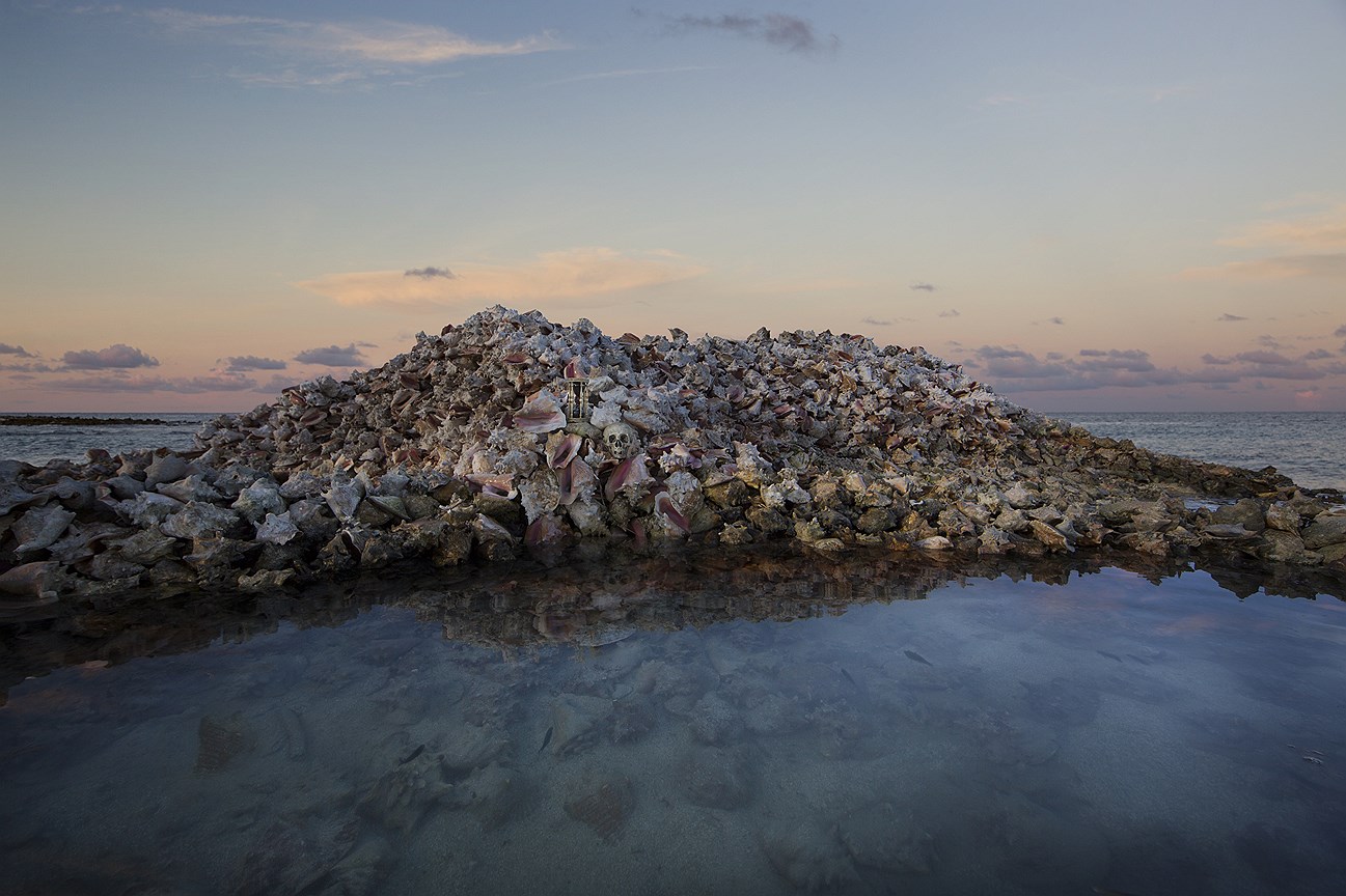 Моллюски борются с размыванием островов. Гренадины, Карибское море, Латинская Америка, октябрь 2014