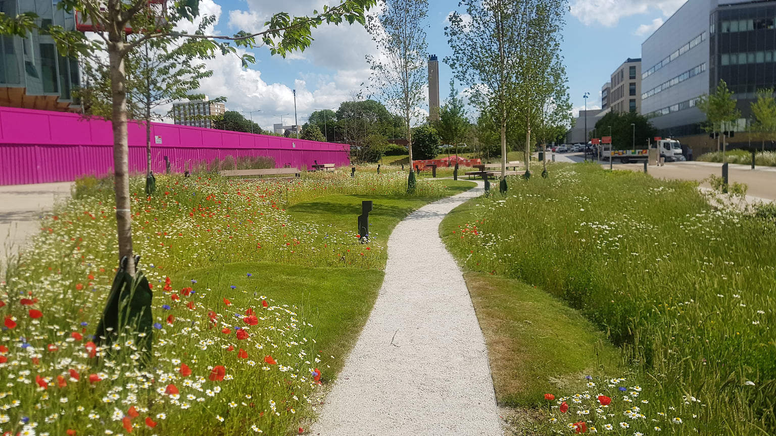 Cambridge Biomedical Campus, Gillespies