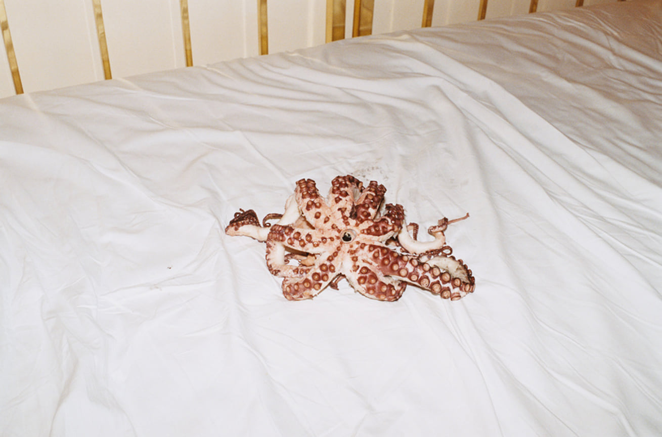 Осьминожка (Octopussy), Рим, 2008