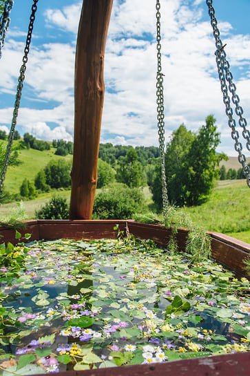 Арт-отель Altai Palace