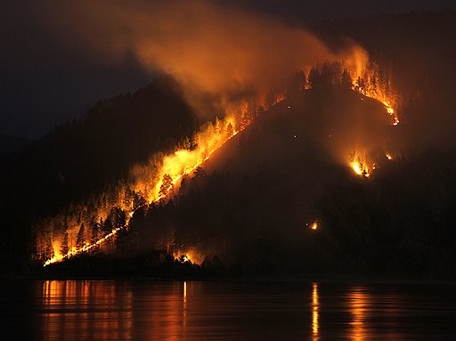В прошлом году из-за пожаров Россия, по официальным данным, потеряла 2,3 млн га леса